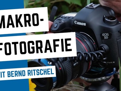 NOVOFLEX - Makrofotografie mit Bernd Ritschel