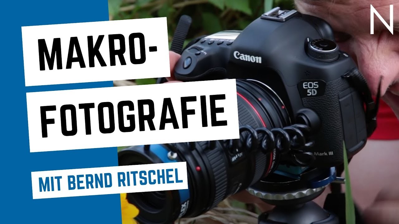 NOVOFLEX - Makrofotografie mit Bernd Ritschel