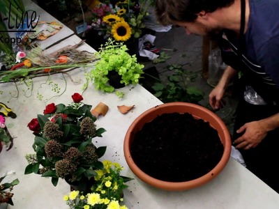 DIY: Herbstliche Pflanzenkreation gestalten
