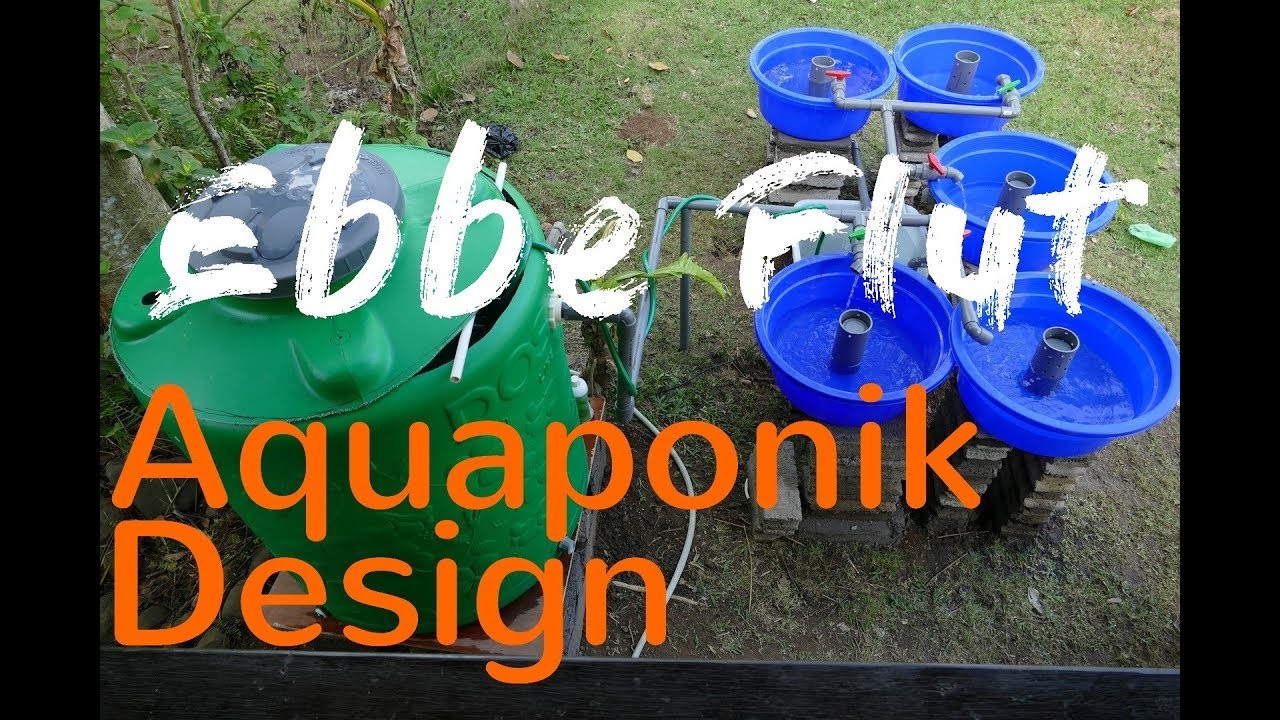 Großes Aquaponik System mit 1000 Liter Fischtank in Bali