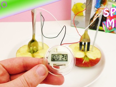 Mit Obst Strom erzeugen | Fruchtbatterie mit Apfel | Küchen Experiment | Demo