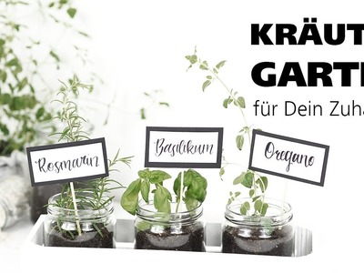 DIY - Leckerer Kräutergarten für dein Zuhause!