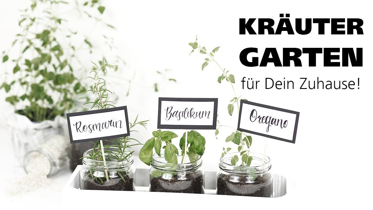 DIY - Leckerer Kräutergarten für dein Zuhause!