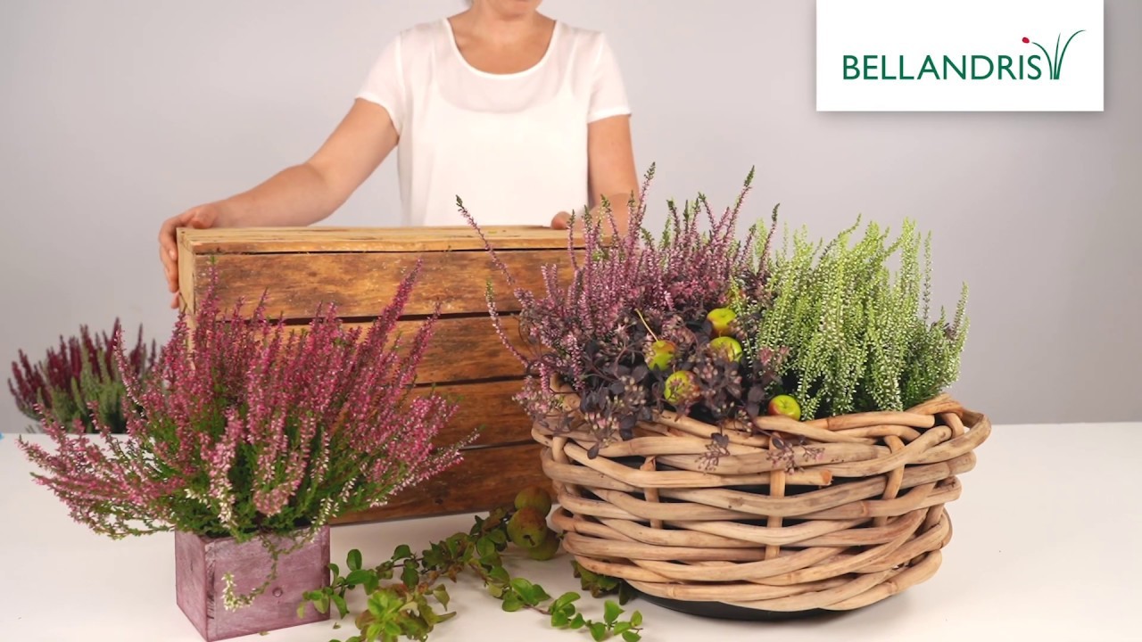 BELLANDRIS DIY Herbstlicher Korb