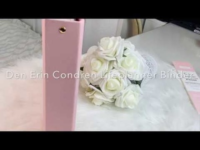 Erin Condren Life Planner Binder - neutral - 2019.2020 Review in Deutsch