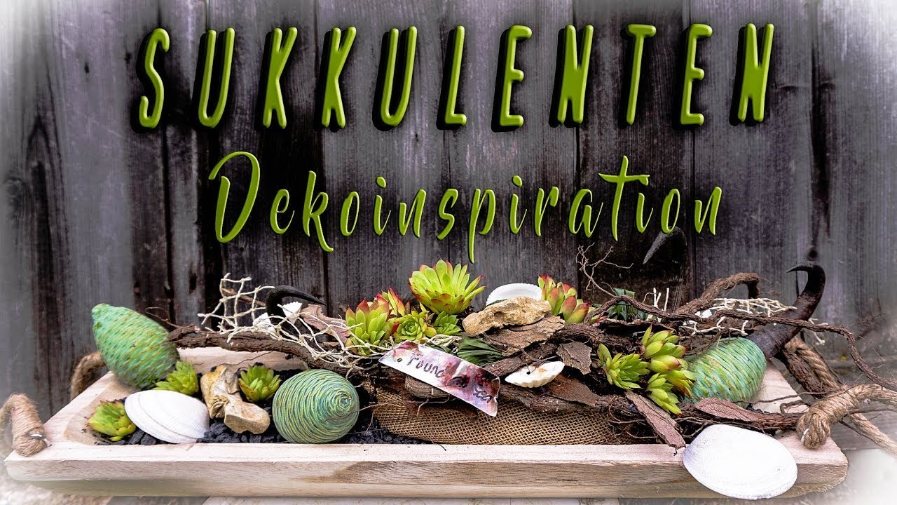 ▶SUKKULENTEN | verschiedene DEKO Variationen DIY