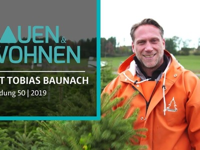 Adventssendung - Weihnachtsbaum schlagen, Outdoor Sauna, Papiersterne basteln | BAUEN & WOHNEN