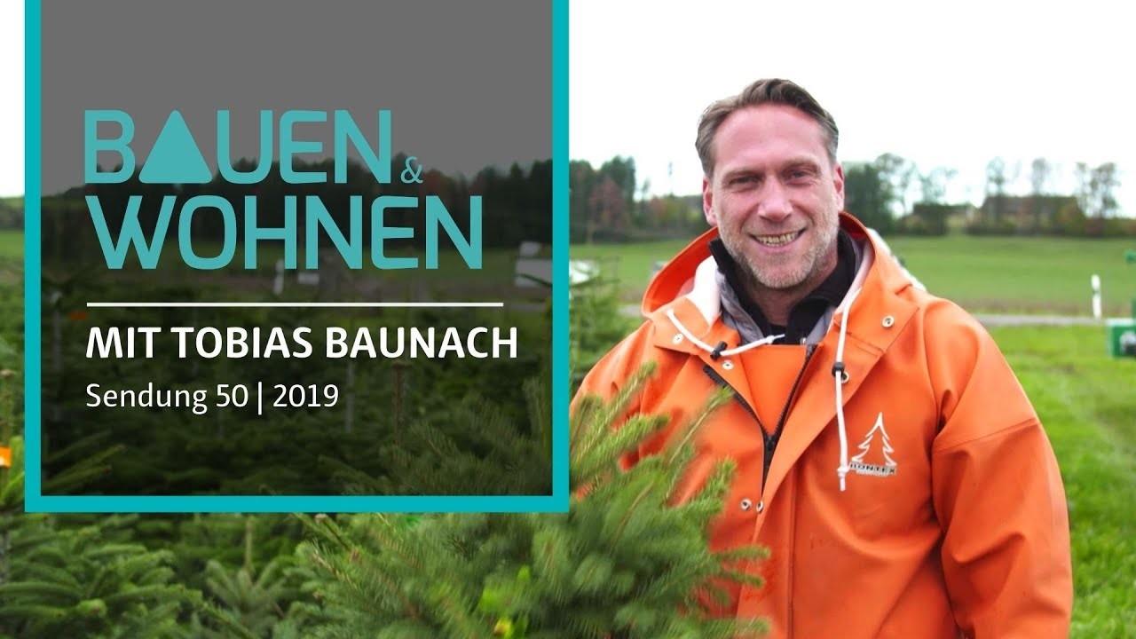 Adventssendung - Weihnachtsbaum schlagen, Outdoor Sauna, Papiersterne basteln | BAUEN & WOHNEN