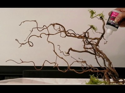 Deko für Aquarien DIY - Traumhafter Moosbaum