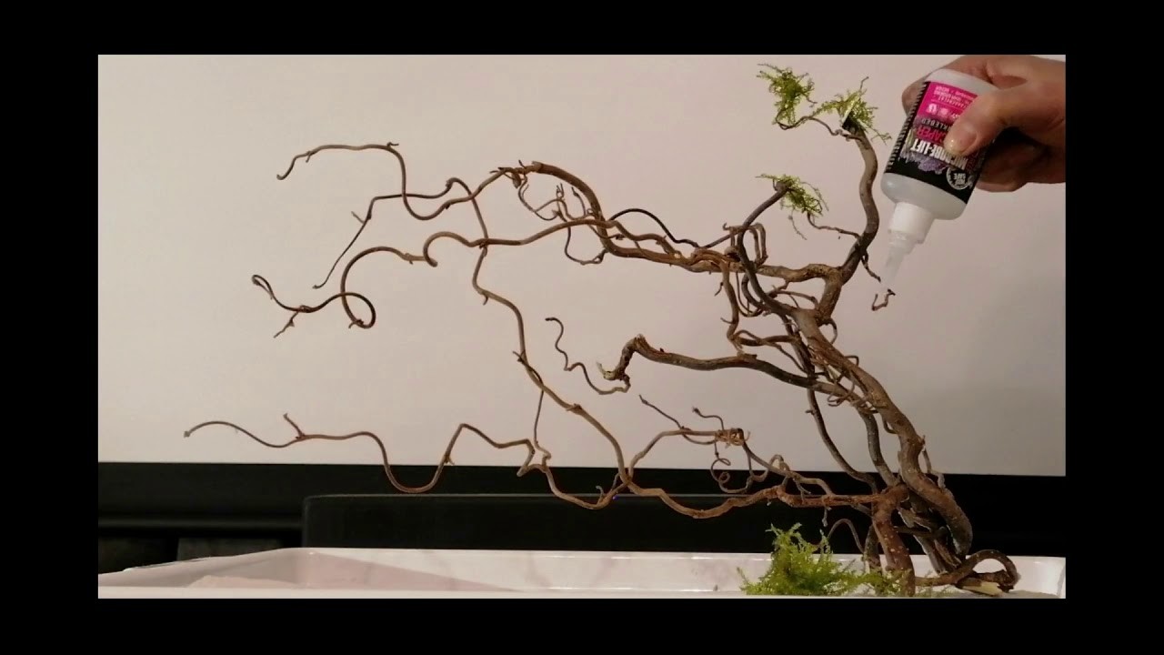 Deko für Aquarien DIY - Traumhafter Moosbaum