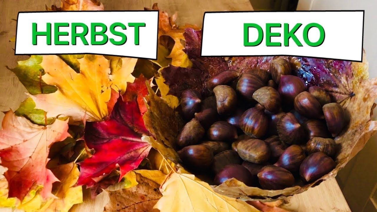 Dekoschale aus Herbstblättern. Tischdeko selber machen - DIY