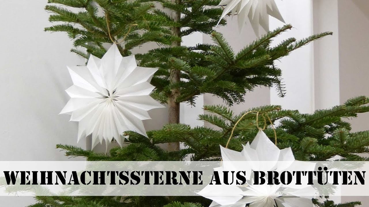 Weihnachtssterne aus Brottüten basteln | selbst.de