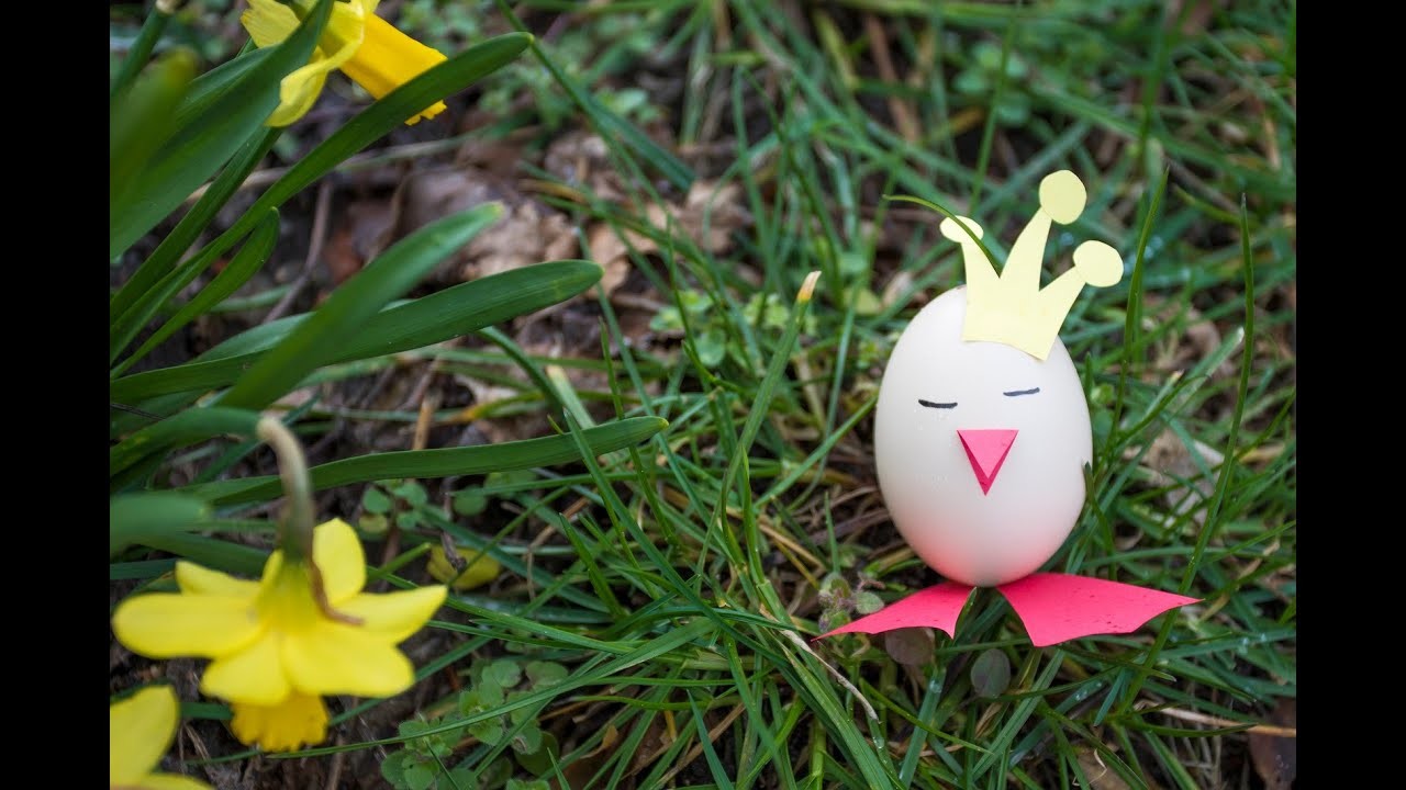 DIY Lustige Osterküken einfach selbst gemacht