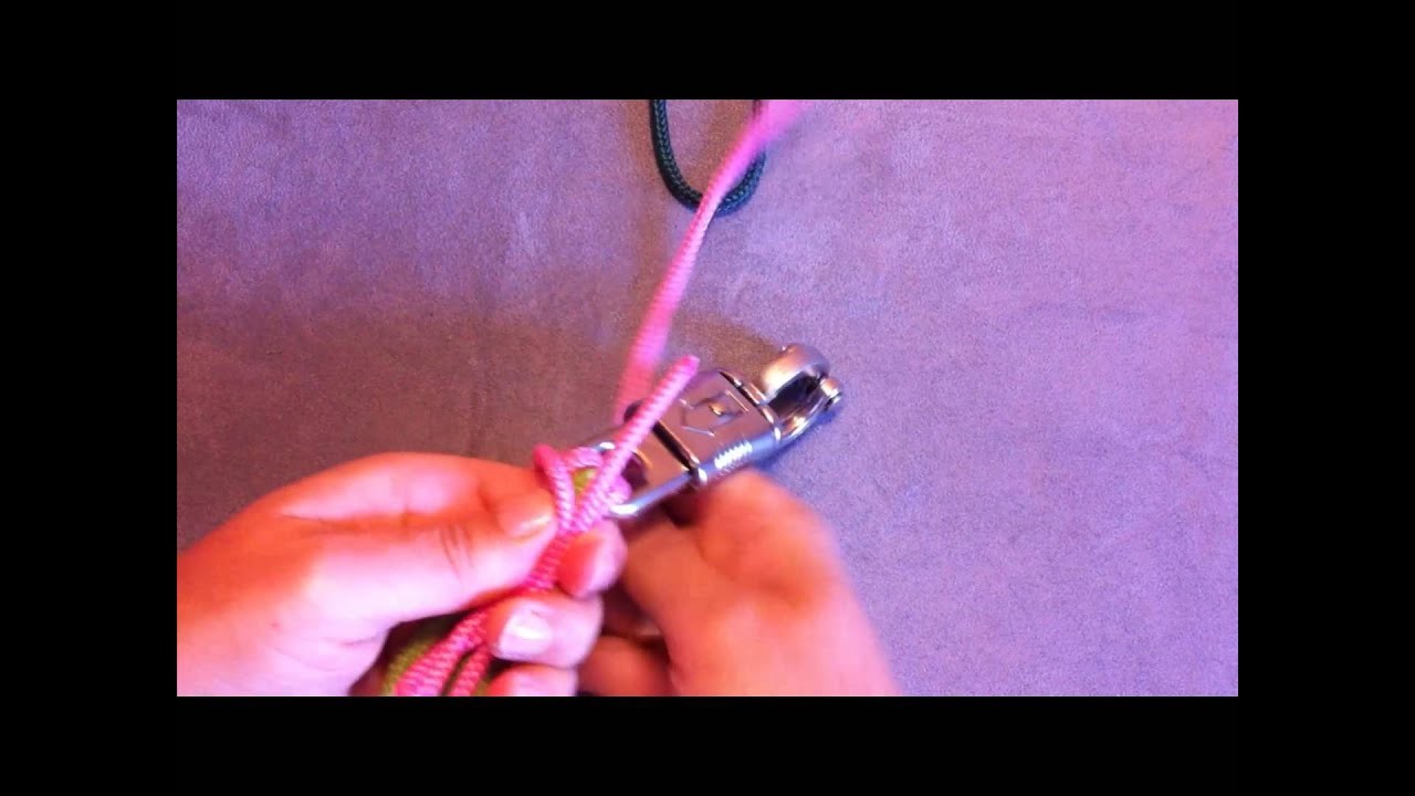 Videoanleitung für einen Führstrick mit Zierknoten