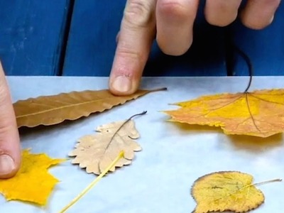 3 ausgefallene Herbst-Bastelideen, die du noch nicht kennst
