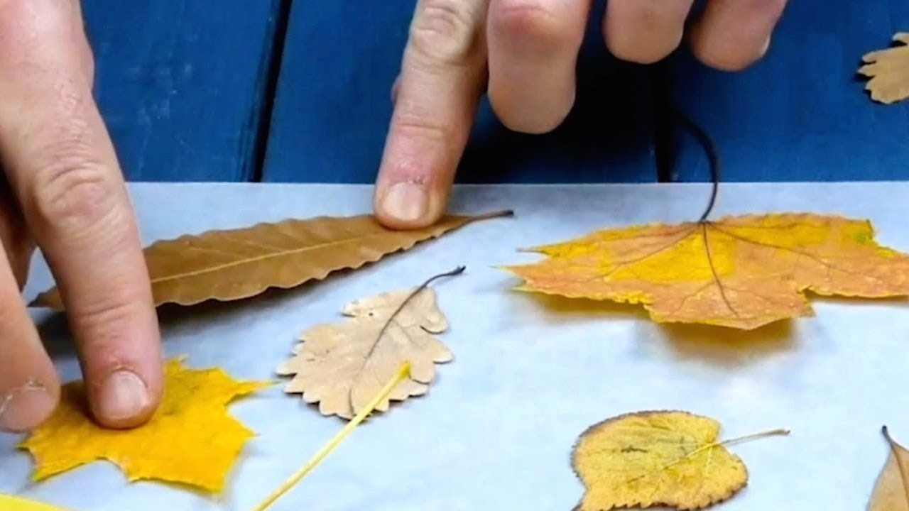 3 ausgefallene Herbst-Bastelideen, die du noch nicht kennst