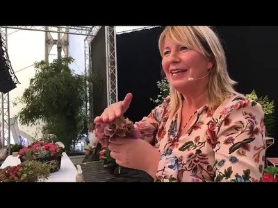 Hortensienerlebnisse im Park 2018 | Imke Riedebusch Live