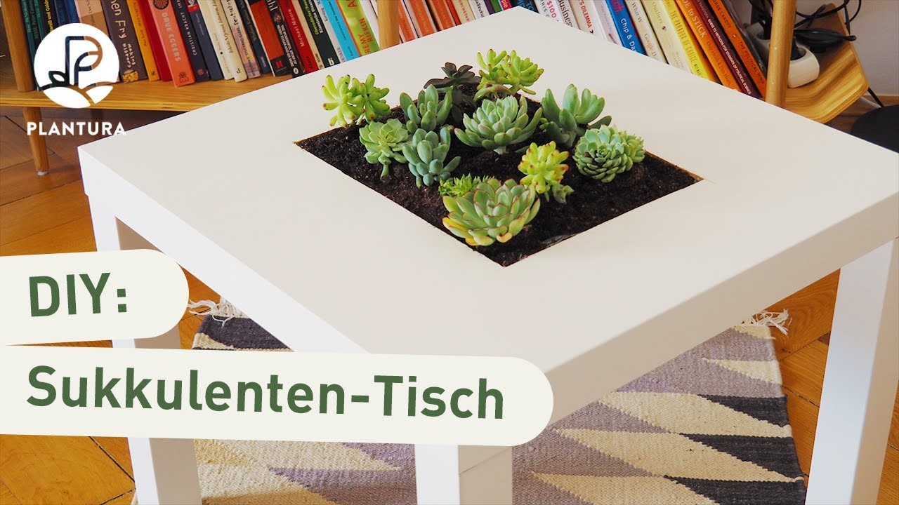 DIY Anleitung: Tisch mit Sukkulenten bepflanzen (Ikea Hack)