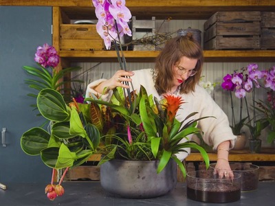 DIY: Arrangement mit Orchideen