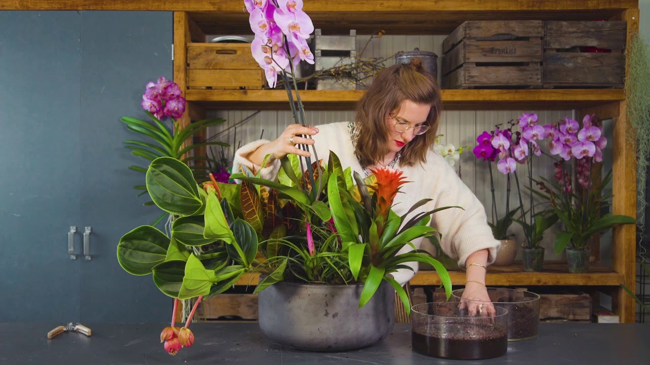 DIY: Arrangement mit Orchideen