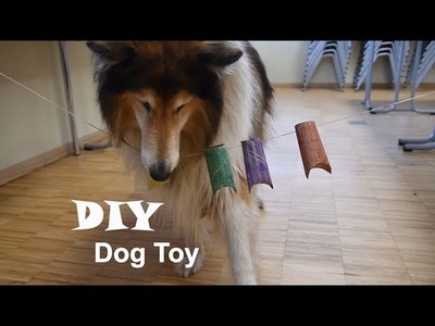 DIY Hundespielzeug | DIY Dog Toy - BÄRENWALD Müritz