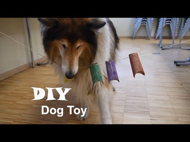 DIY Hundespielzeug | DIY Dog Toy - BÄRENWALD Müritz
