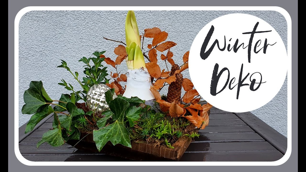 Wie du eine Wachs Amaryllis winterlich dekorierst - Geschenkidee - DIY Deko Idee - KatisweltTV