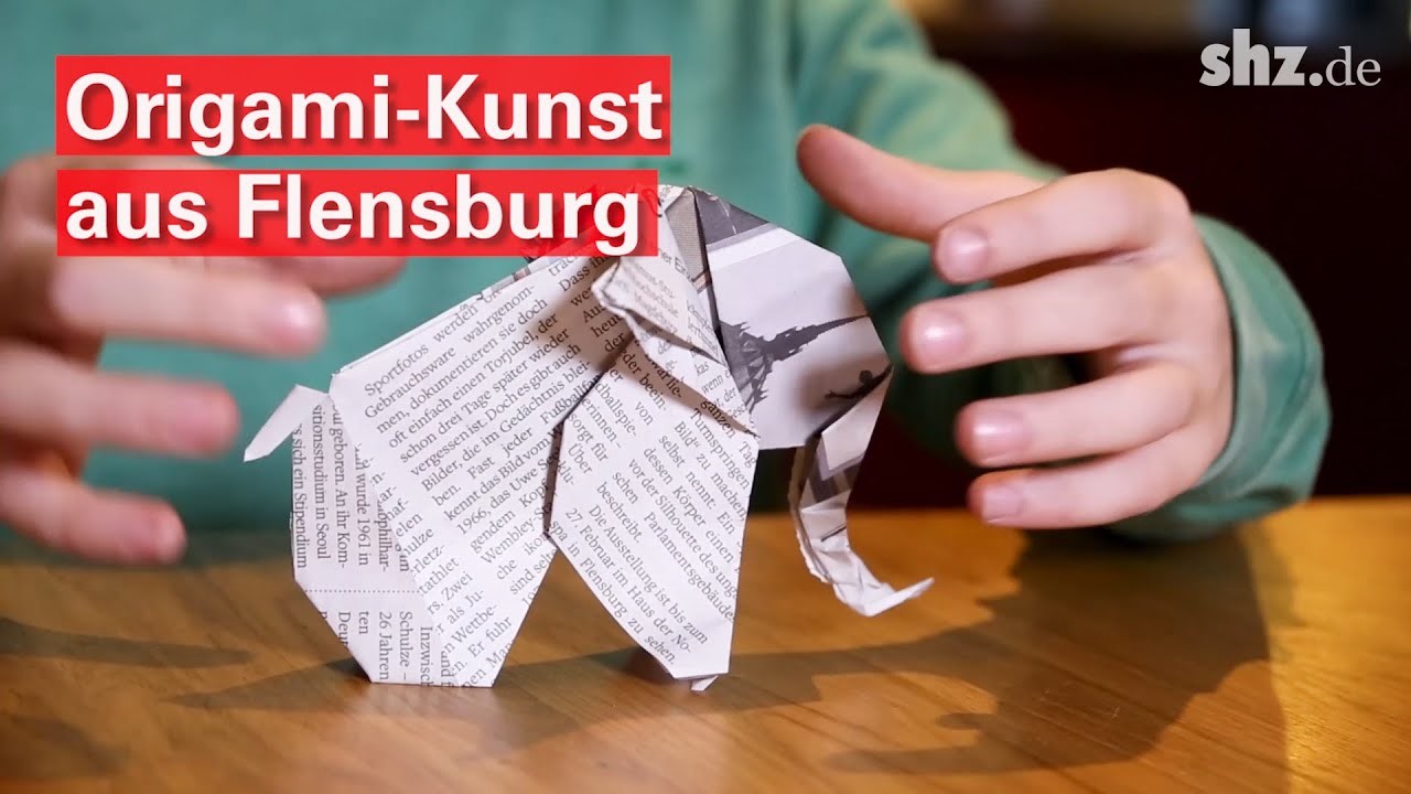 Das kannst du knicken: 9-jähriger Flensburger macht Origami-Kunst