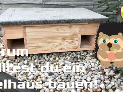 DIY Igelhaus kurz vor dem Winterschlaf | Animal Welfare