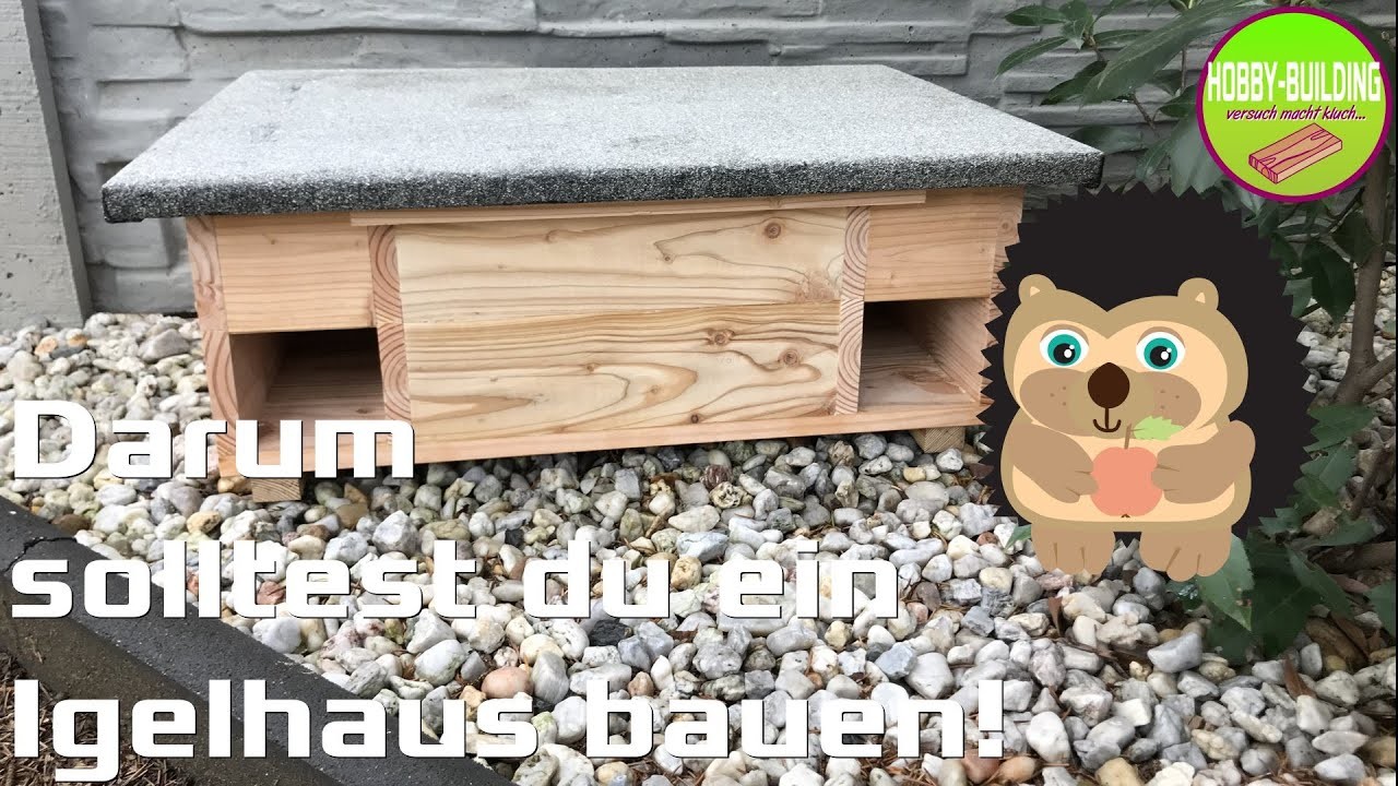 DIY Igelhaus kurz vor dem Winterschlaf | Animal Welfare