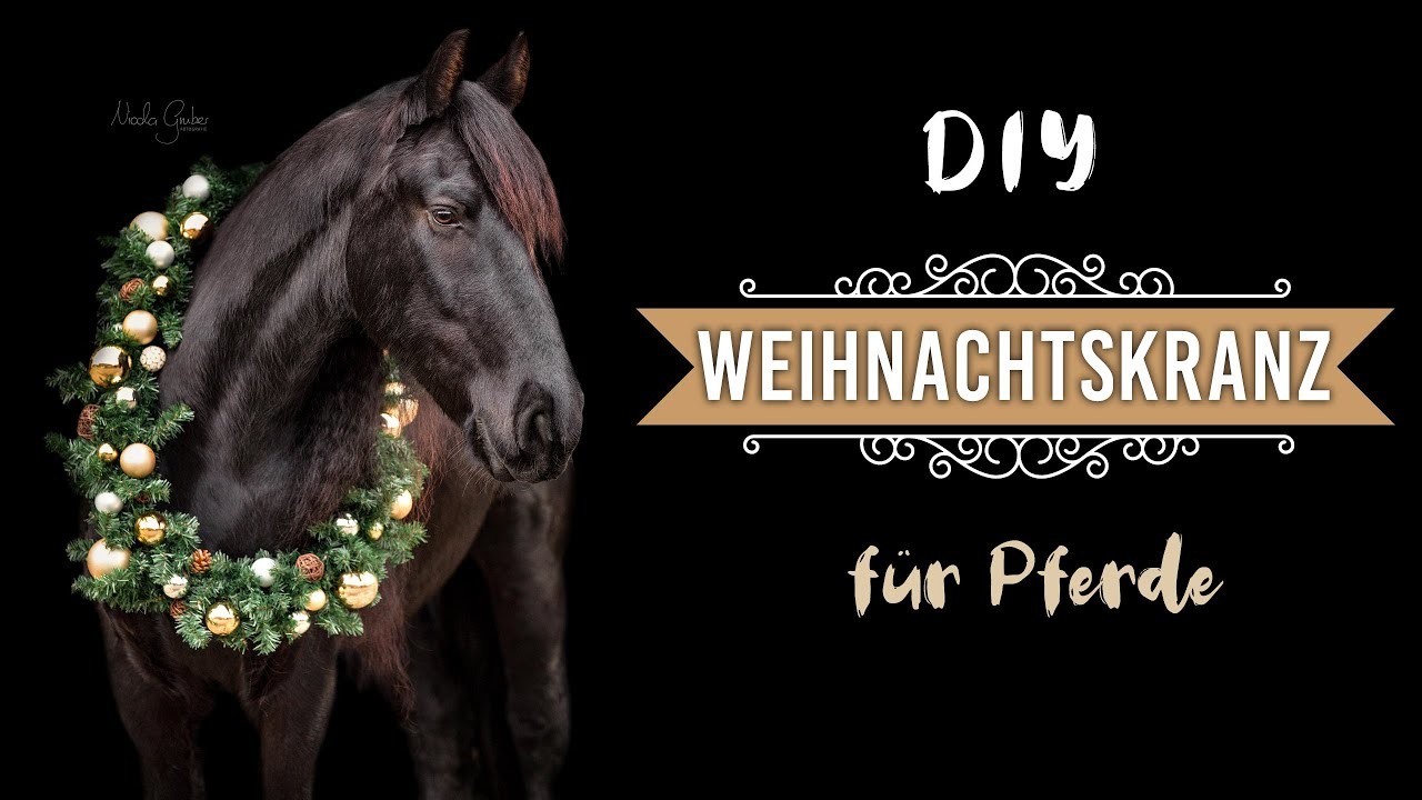 DIY Weihnachtskranz für Pferde | Pilsali