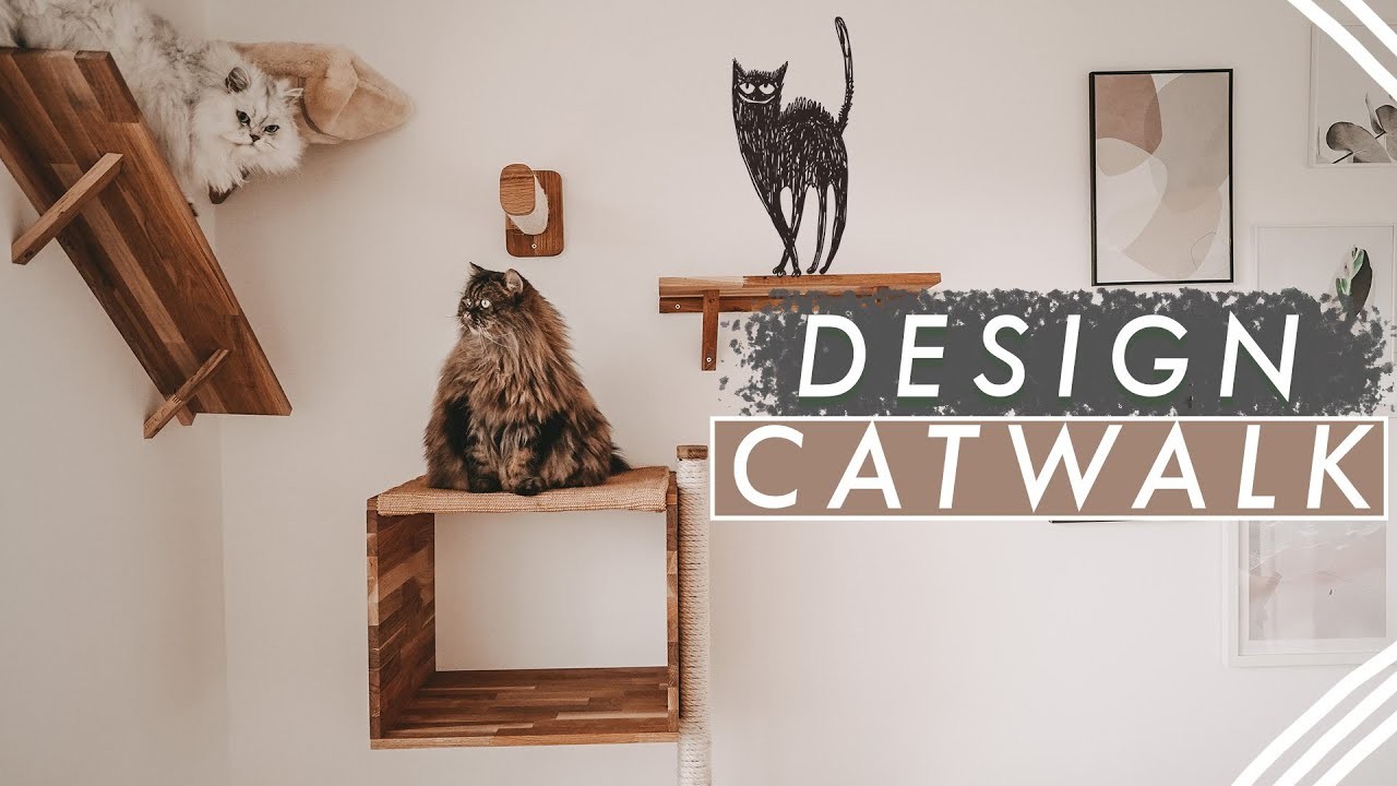 DIY Designer Katzen Kratzbaum - stylischen Catwalk & Kletterwand selber bauen mit Zoobox | EASY ALEX