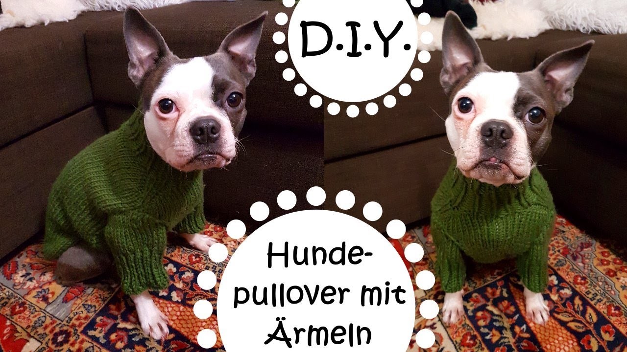 D.I.Y. - Ärmel - Strickpulli für Hunde - Do it yourself - Anleitung