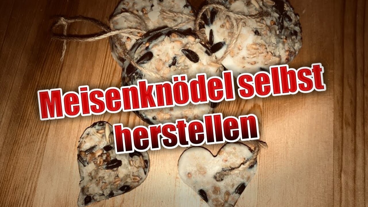 DIY Meisenknödel selbst herstellen | Vogelfutter | + OUTTAKES