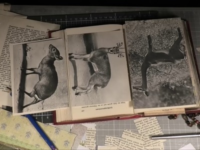 Altered Book  (Teil 6 )  . ????????????Craft with me!!!