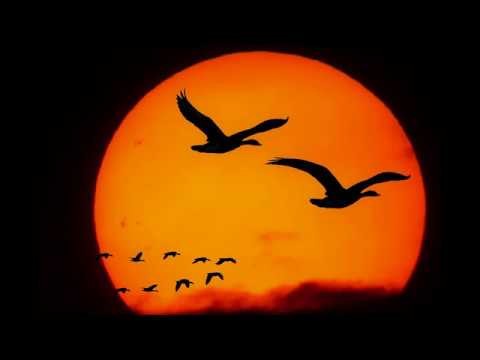 Granstein Echo - Flieg nicht zu nah zur Sonne