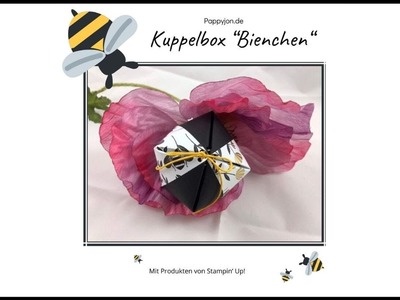 Kuppelbox "Bienchen" schnell & einfach | Stampin' Up! | Pappyjon.de | Anleitung | Tutorial | DIY