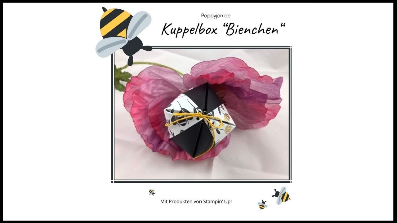 Kuppelbox "Bienchen" schnell & einfach | Stampin' Up! | Pappyjon.de | Anleitung | Tutorial | DIY