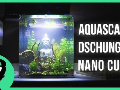 Aquascape | Verlorene Welt - Buddha | Deutsch | Tutorial