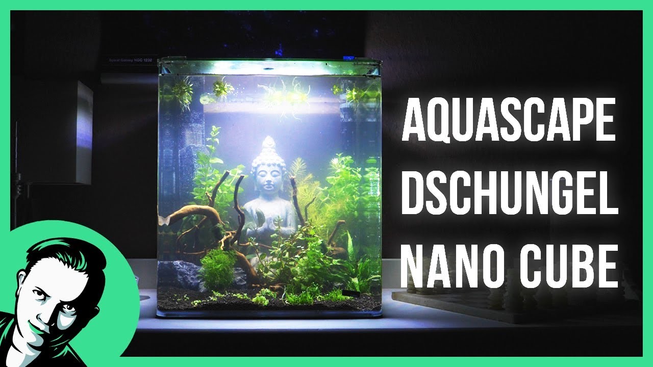 Aquascape | Verlorene Welt - Buddha | Deutsch | Tutorial