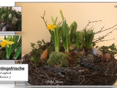 DIY: Frühlingsdeko für drinnen oder draußen. Narzissen, Tulpen und Co im Birkennest????. Deko Jana