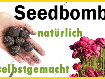 DIY -  Seedbombs selber machen I 3 Zutaten