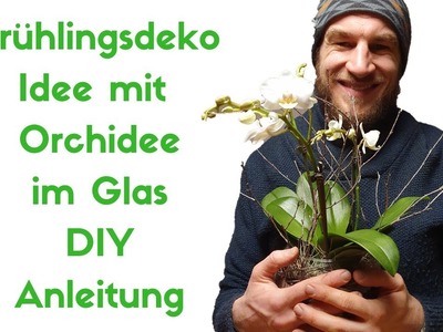 Frühlingsdekoration in weiss selber machen - Orchidee in Glasgefäss arrangieren - Frühlings Deko DIY