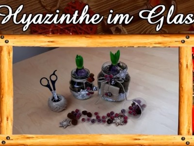 Hyazinthe im Glas | Frühlingsdeko | Geschenkidee | DIY