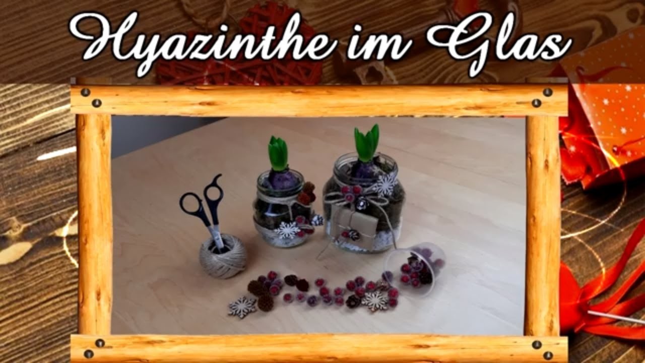 Hyazinthe im Glas | Frühlingsdeko | Geschenkidee | DIY