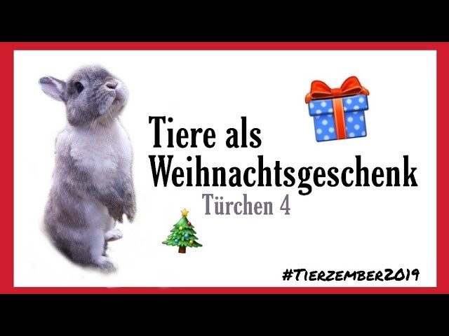 Tiere sind keine Weihnachtsgeschenke! Türchen 4 #Tierzember2019