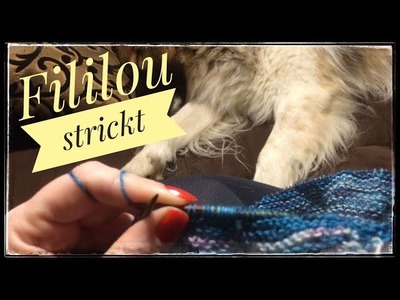 #71 Halbzeit geschafft