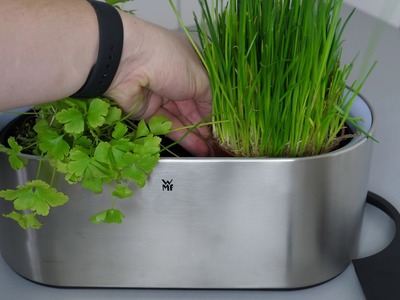 Ausprobiert: WMF AMBIENT Kräuter @home Kräutergarten