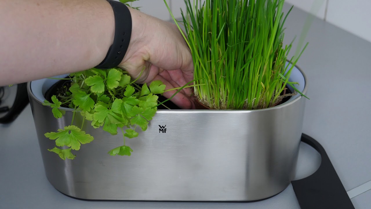 Ausprobiert: WMF AMBIENT Kräuter @home Kräutergarten