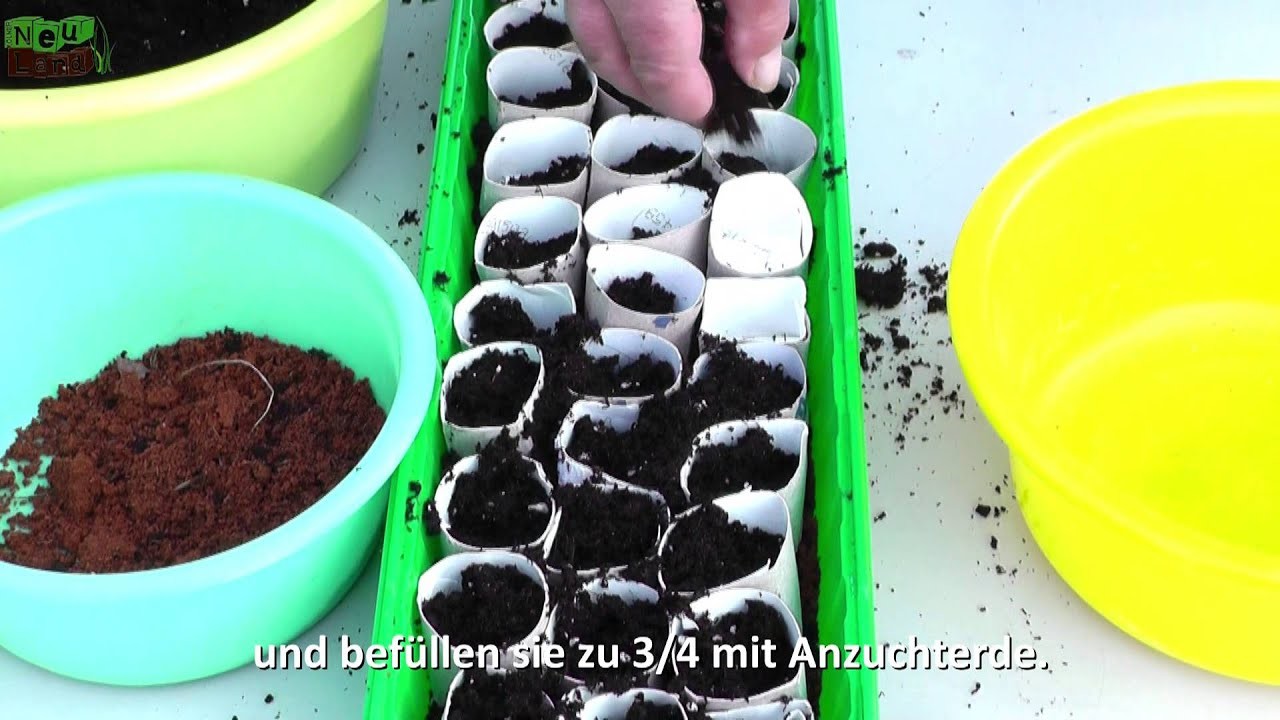 DIY #2 Anzuchttöpfchen aus Klorollen